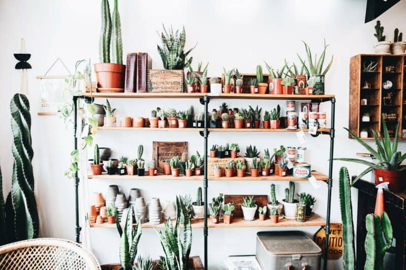 Free standing and floating shelves