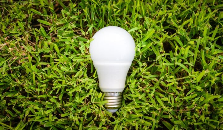 Eco friendly bulbs